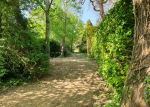 Sewage Treatment Plantm Kent