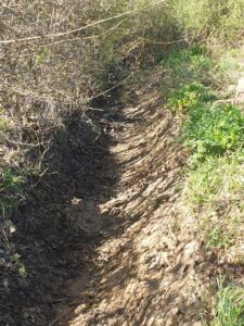 Land drainage ditch