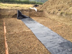 Drainage Field