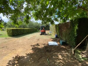 matrix sewage treatment