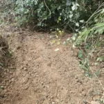 drainage-ground-restoration-chiddingfold-surrey-08