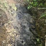 drainage-trench-groundworks-chiddingfold-surrey-02