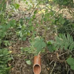 existing-drainage-pipework-chiddingfold-surrey-07