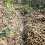 off-mains-drainage-excavation-chiddingfold-surrey-04