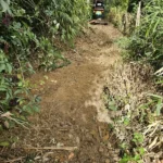 off-mains-drainage-groundworks-chiddingfold-surrey-09